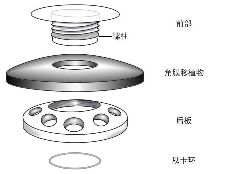 波士顿3.png