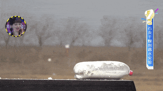 4.11.gif